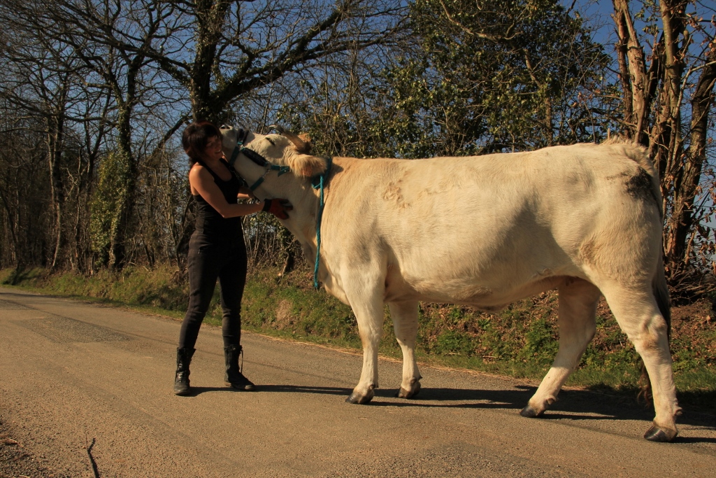 câlin après le parage 