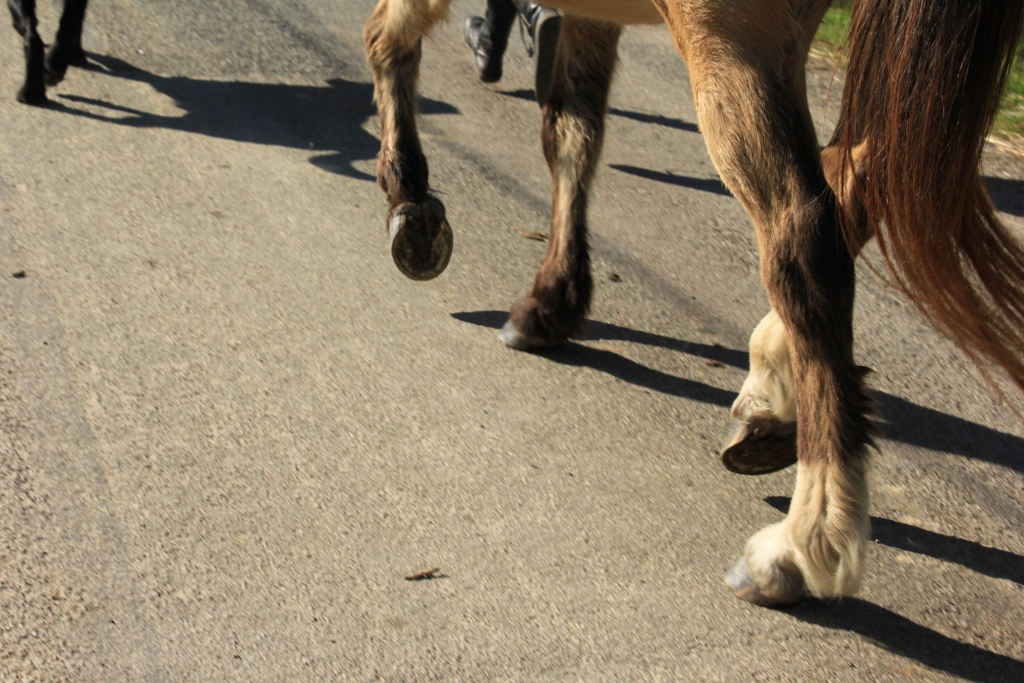 marcher pieds nu