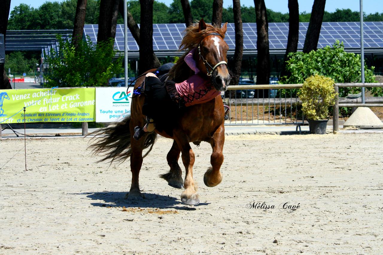 passage sous encolure bordeau